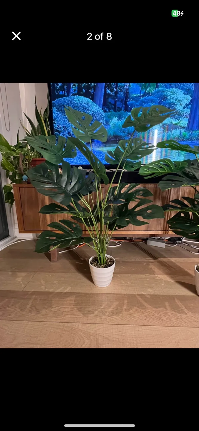 Faux Plant image indicator(2)