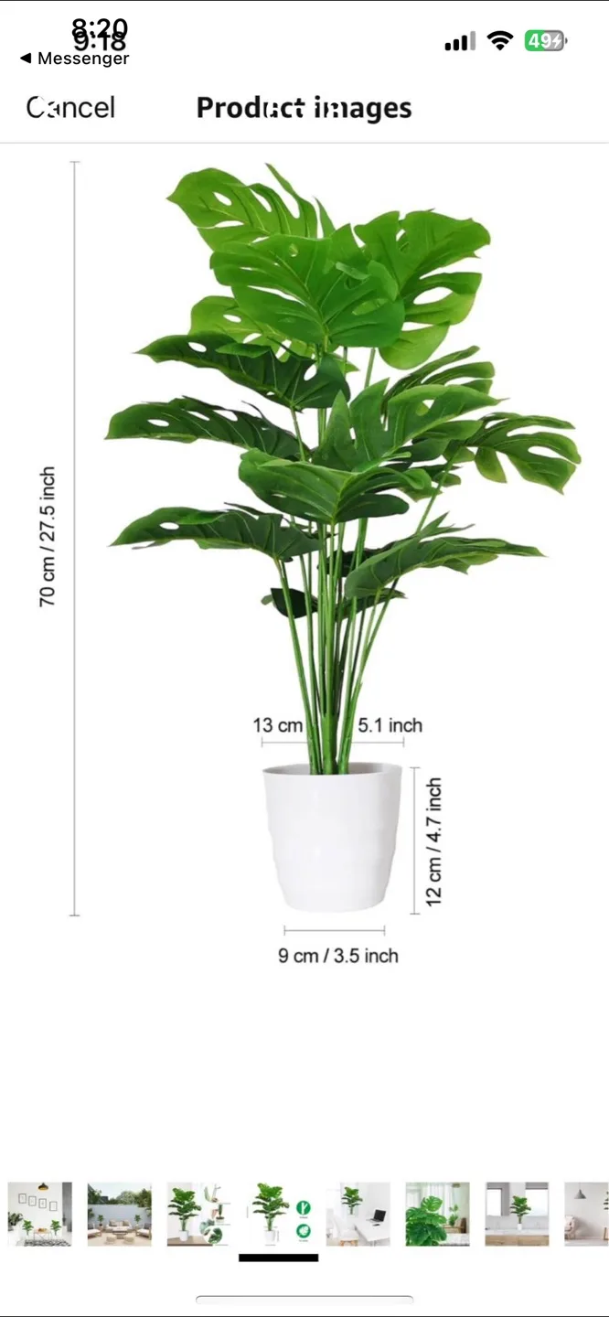 Faux Plant image indicator(6)