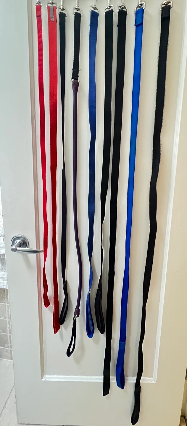 Dog Leashes - variety of lengths image indicator(3)