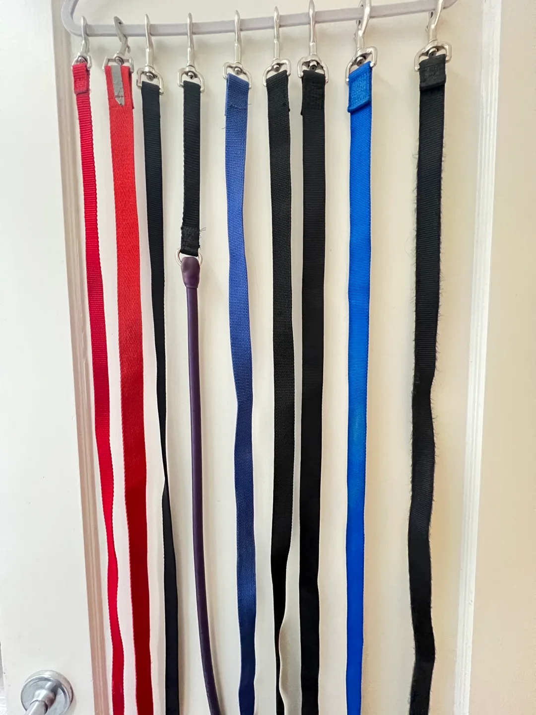 Dog Leashes - variety of lengths image indicator(4)