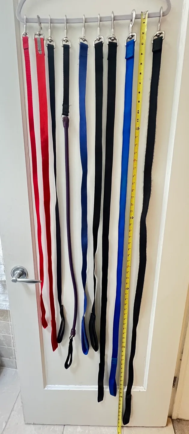 Dog Leashes - variety of lengths image indicator(2)