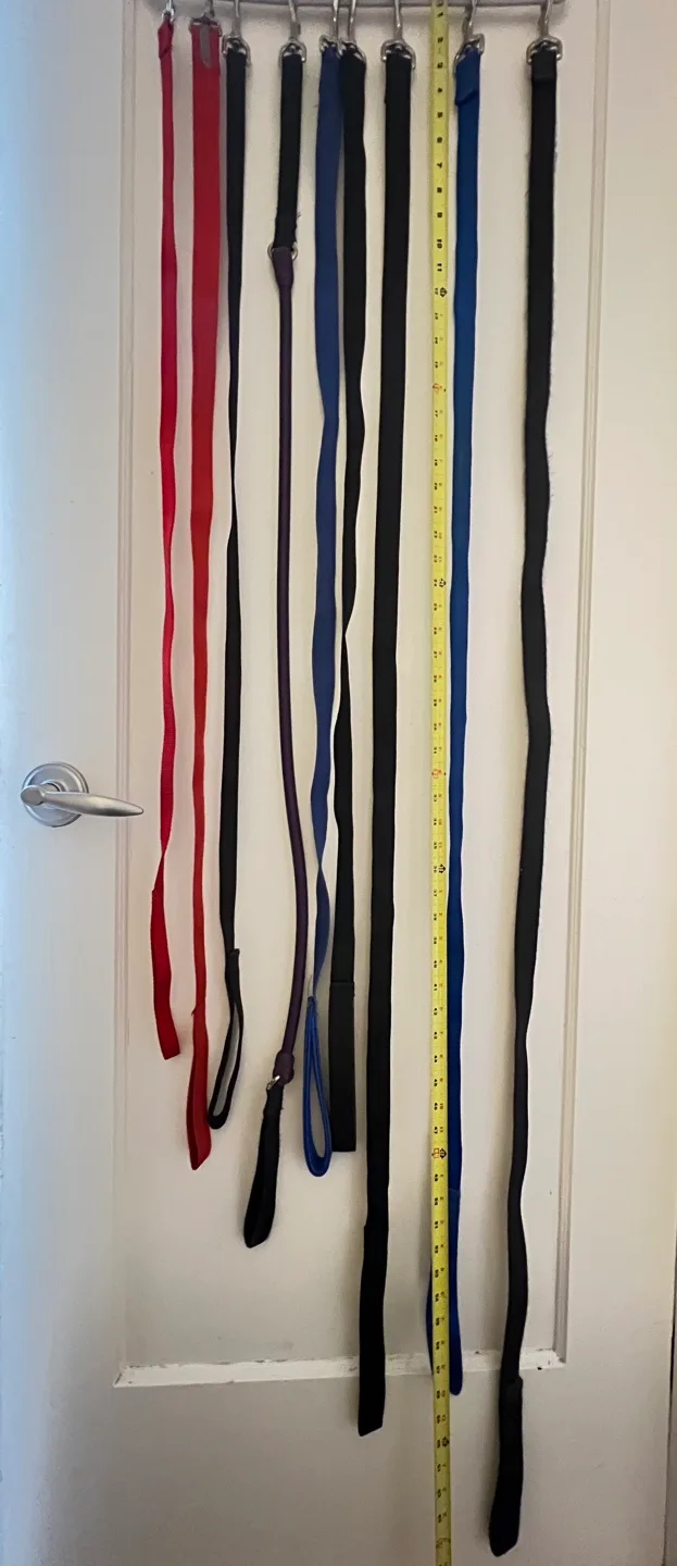 Dog Leashes - variety of lengths image indicator(5)