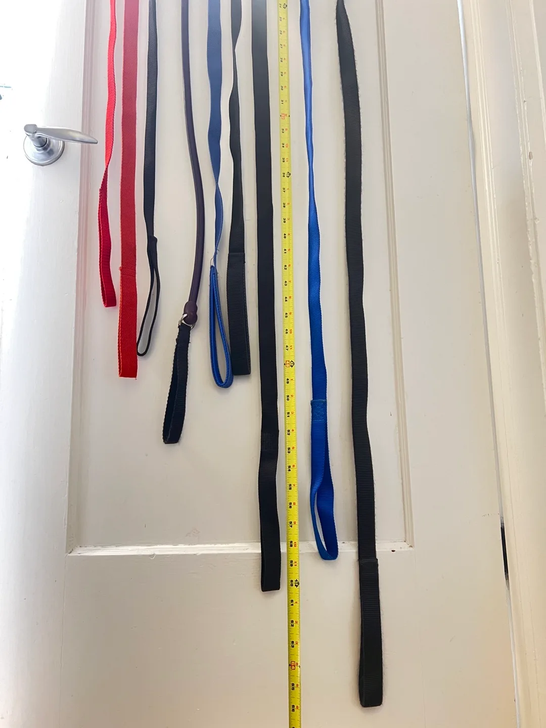 Dog Leashes - variety of lengths image indicator(6)