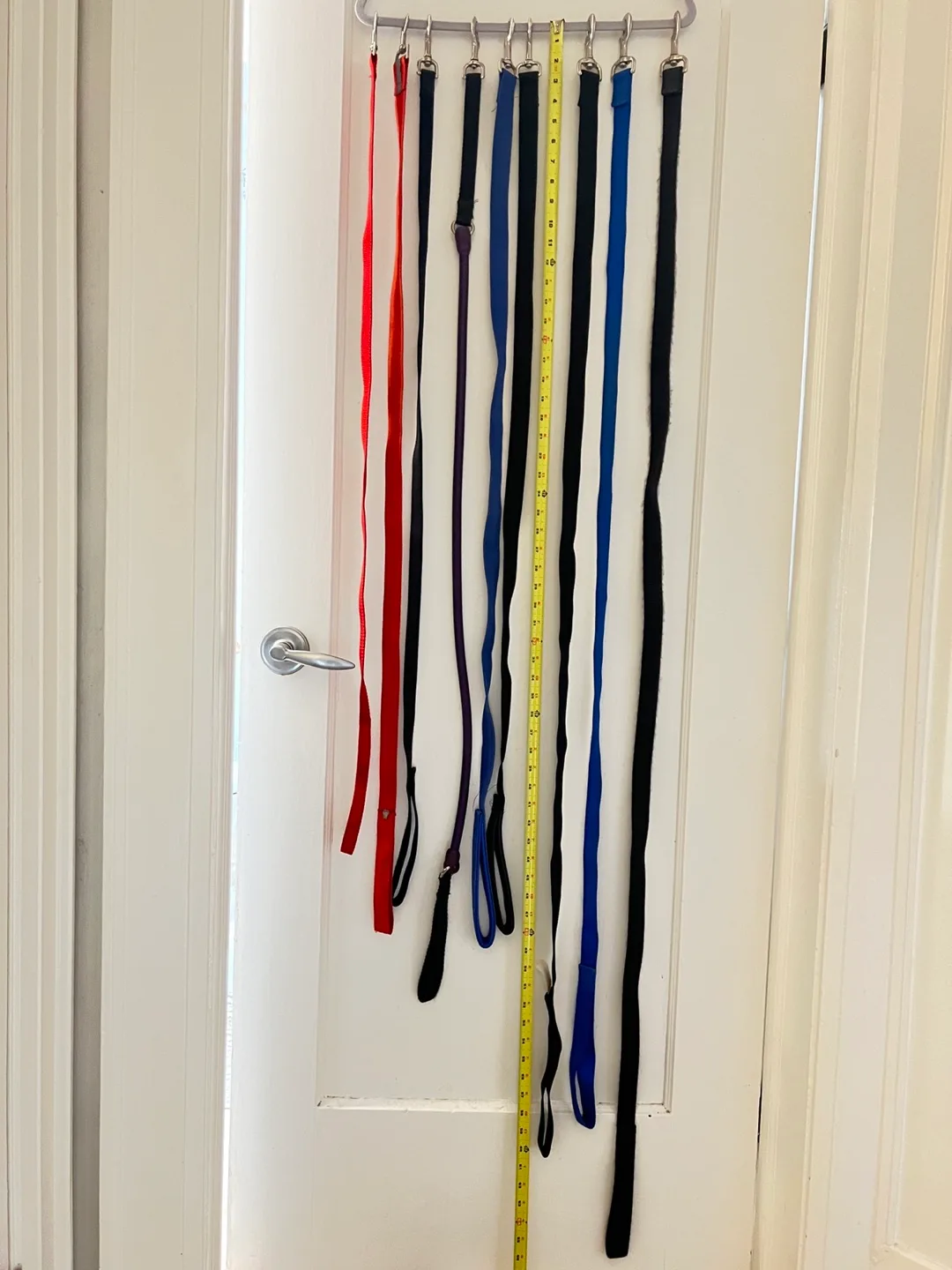 Dog Leashes - variety of lengths image indicator(9)