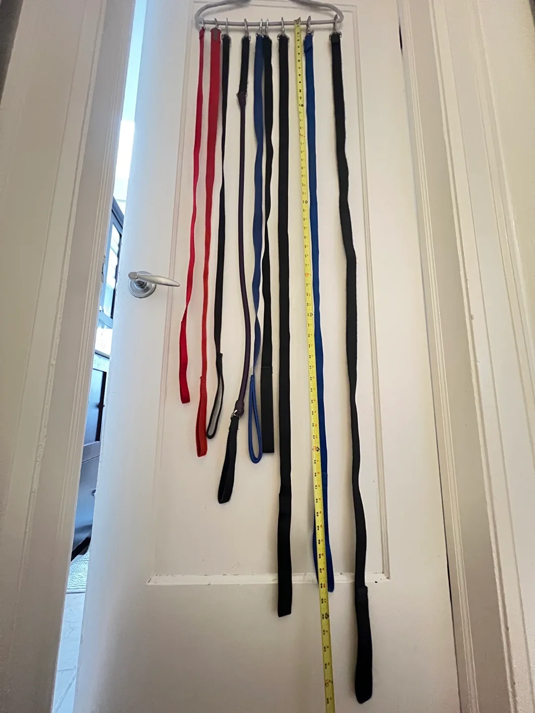 Dog Leashes - variety of lengths image indicator(8)