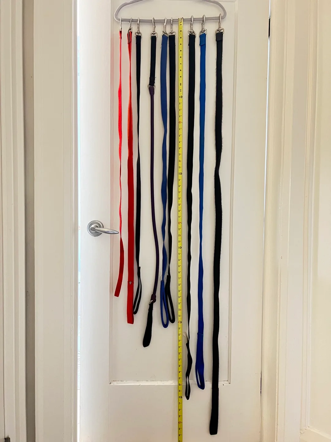 Dog Leashes - variety of lengths image indicator(7)