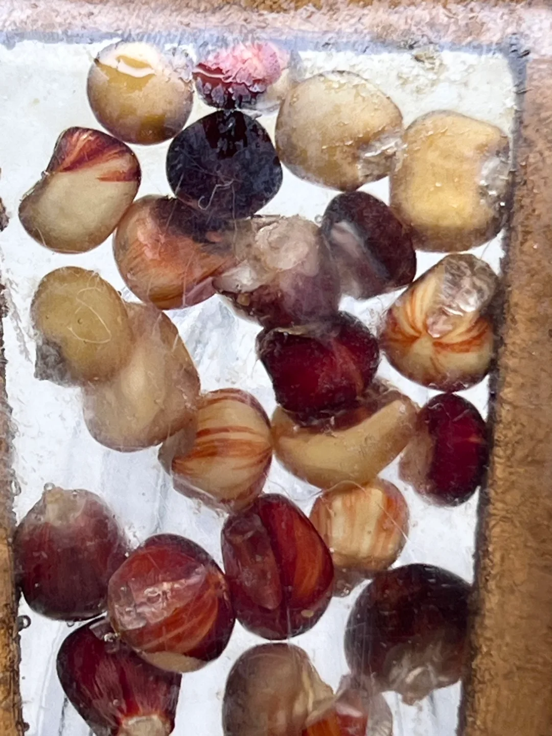 Vintage 70s lucite spoon rest  very Brady Bunch image indicator(3)