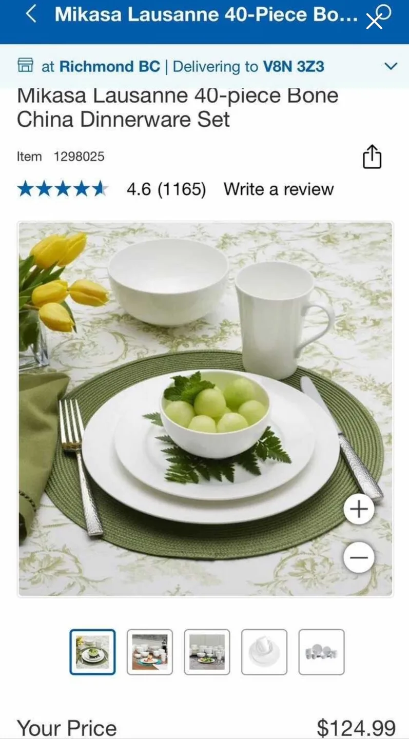 Mikasa Lausanne 40-Piece Bone China Dinnerware Set image indicator(5)