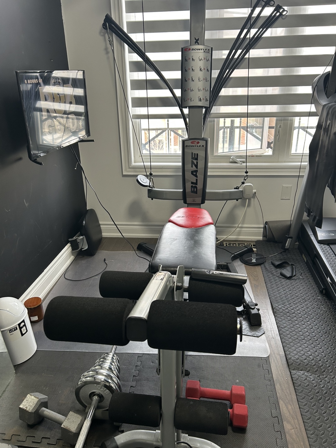 Bowflex Blaze Home Gym - photo 3