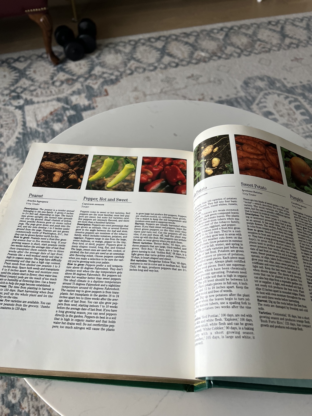 Treasury of Gardening Book - photo 3