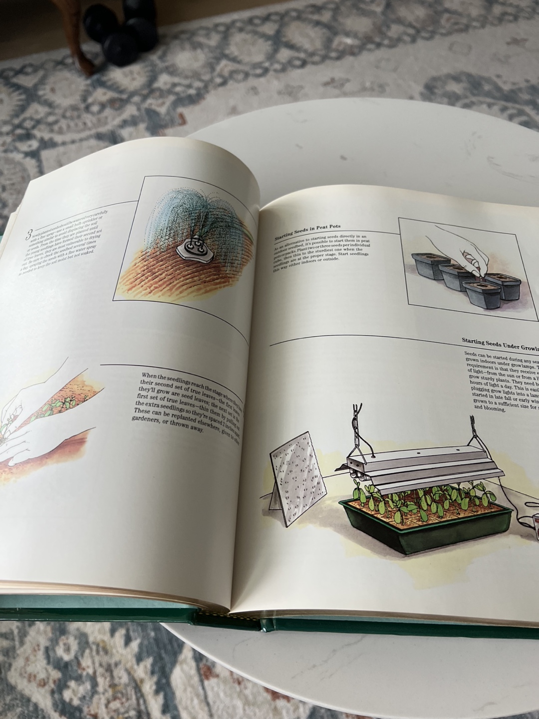 Treasury of Gardening Book - photo 4
