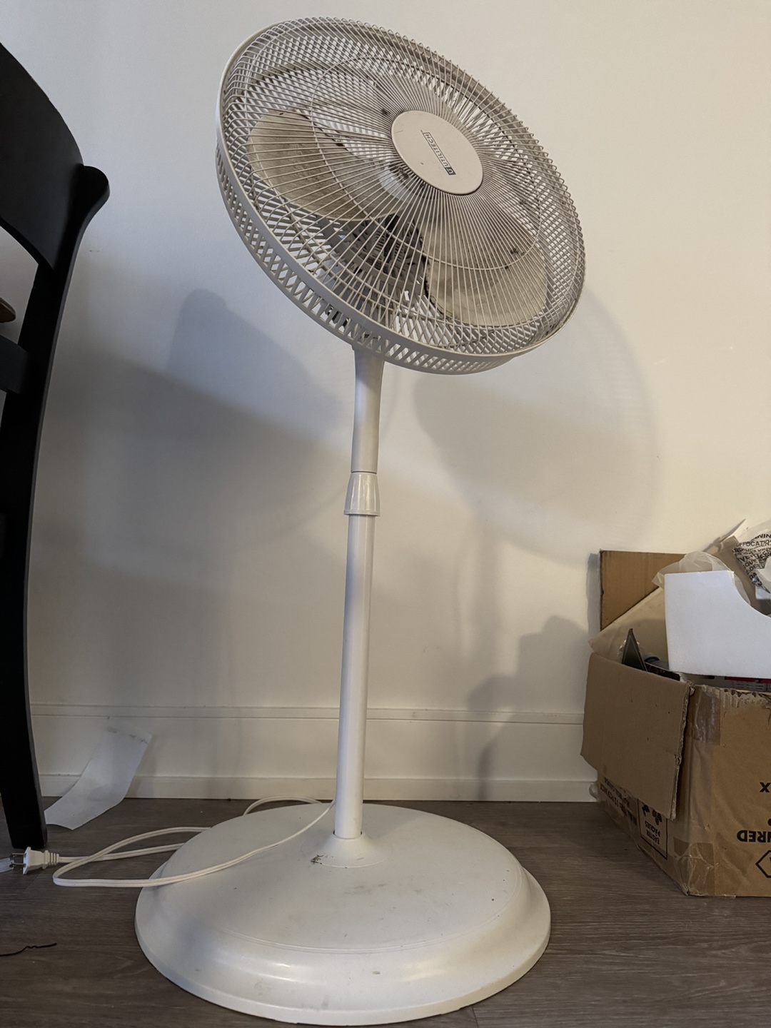 Rotating Indoor Fan