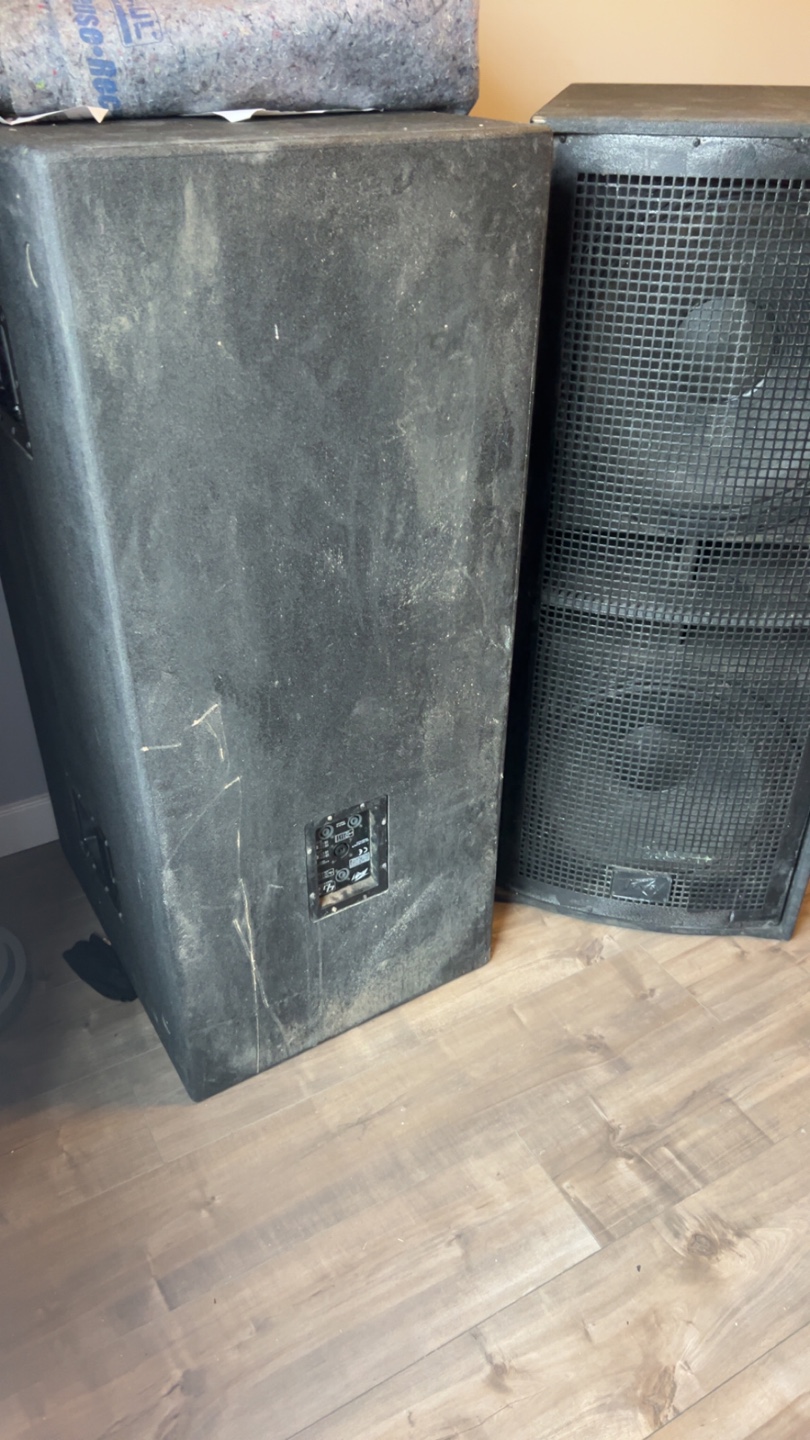 Peavey subwoofer speaker
