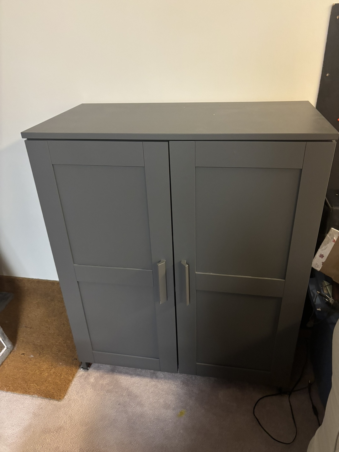 IKEA Brimnes 2-Door Cabinet - Dark Grey
