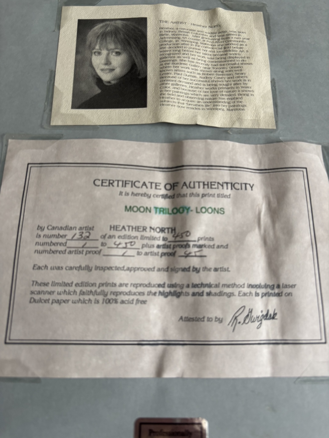 Heather North Loon Print - Moon Trilogy - photo 2