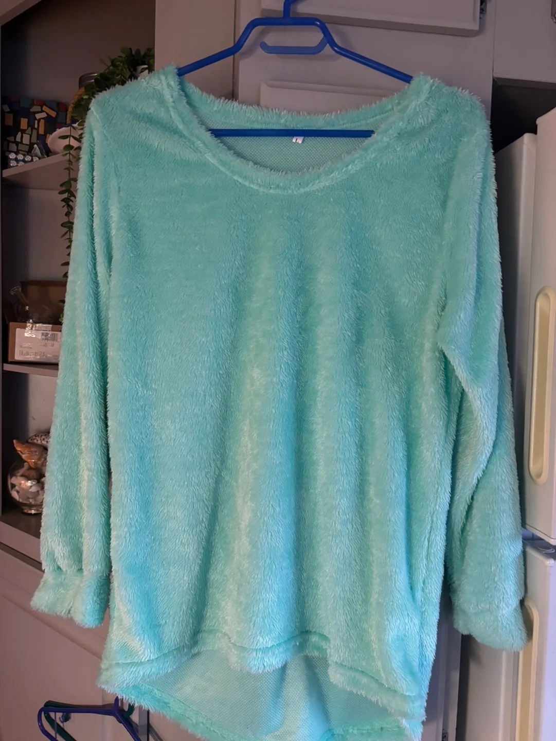Women's Mint Green Fuzzy Long Sleeve Top - Size L thumbnail
