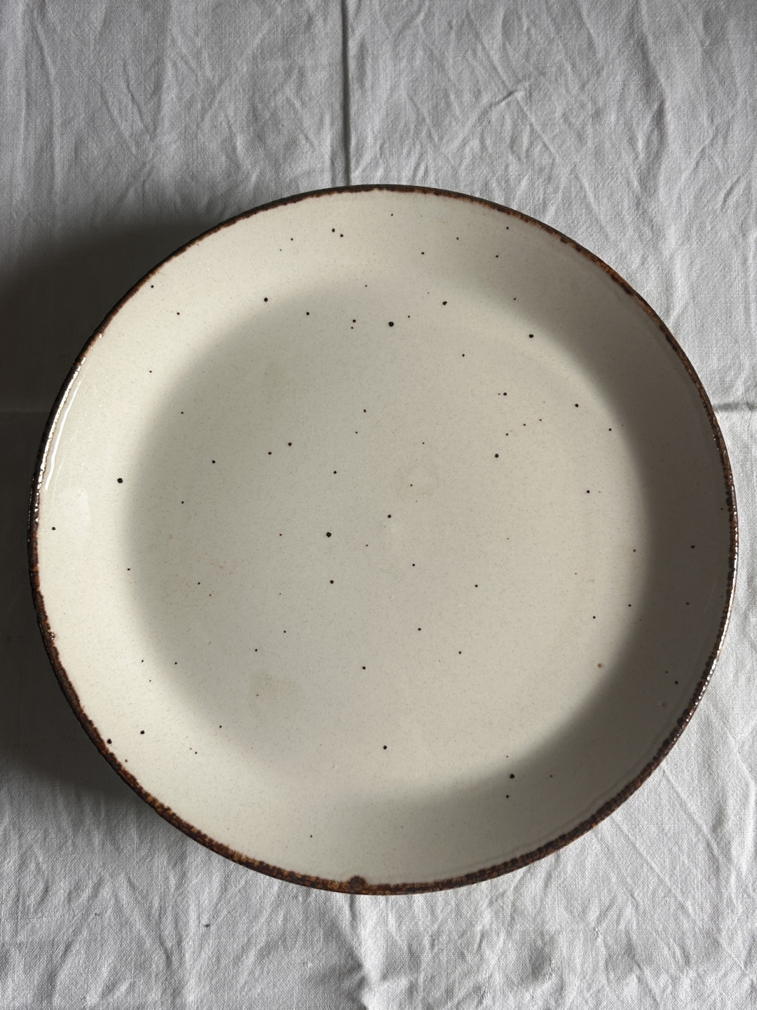 Set of 4 Speckled Dinner Plates - photo 2
