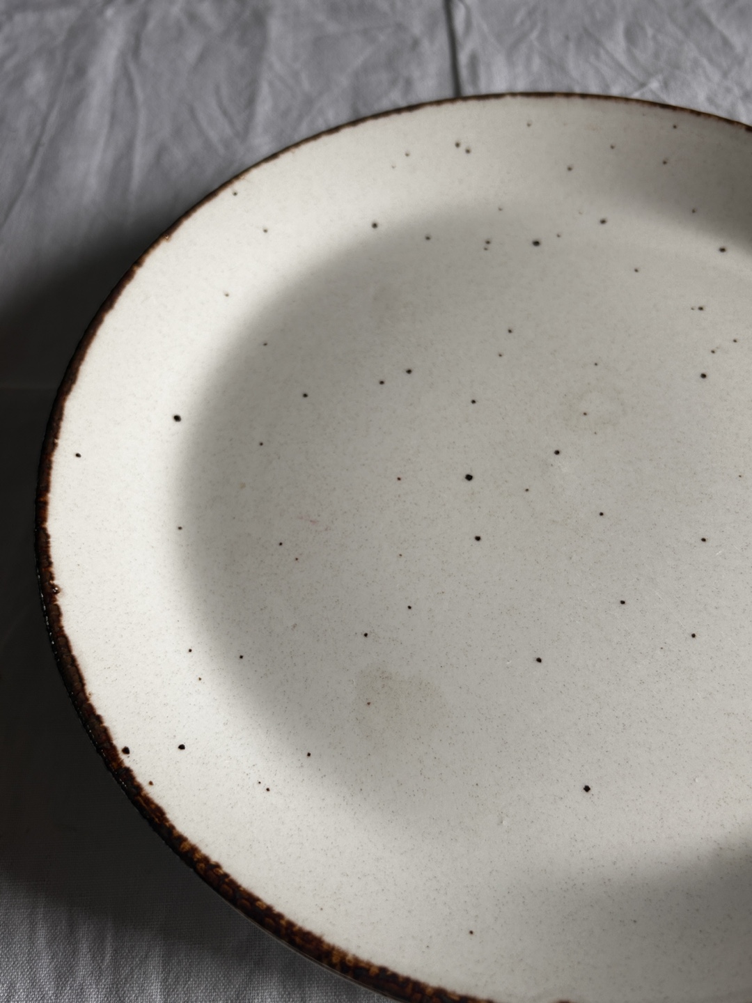 Set of 4 Speckled Dinner Plates - photo 4