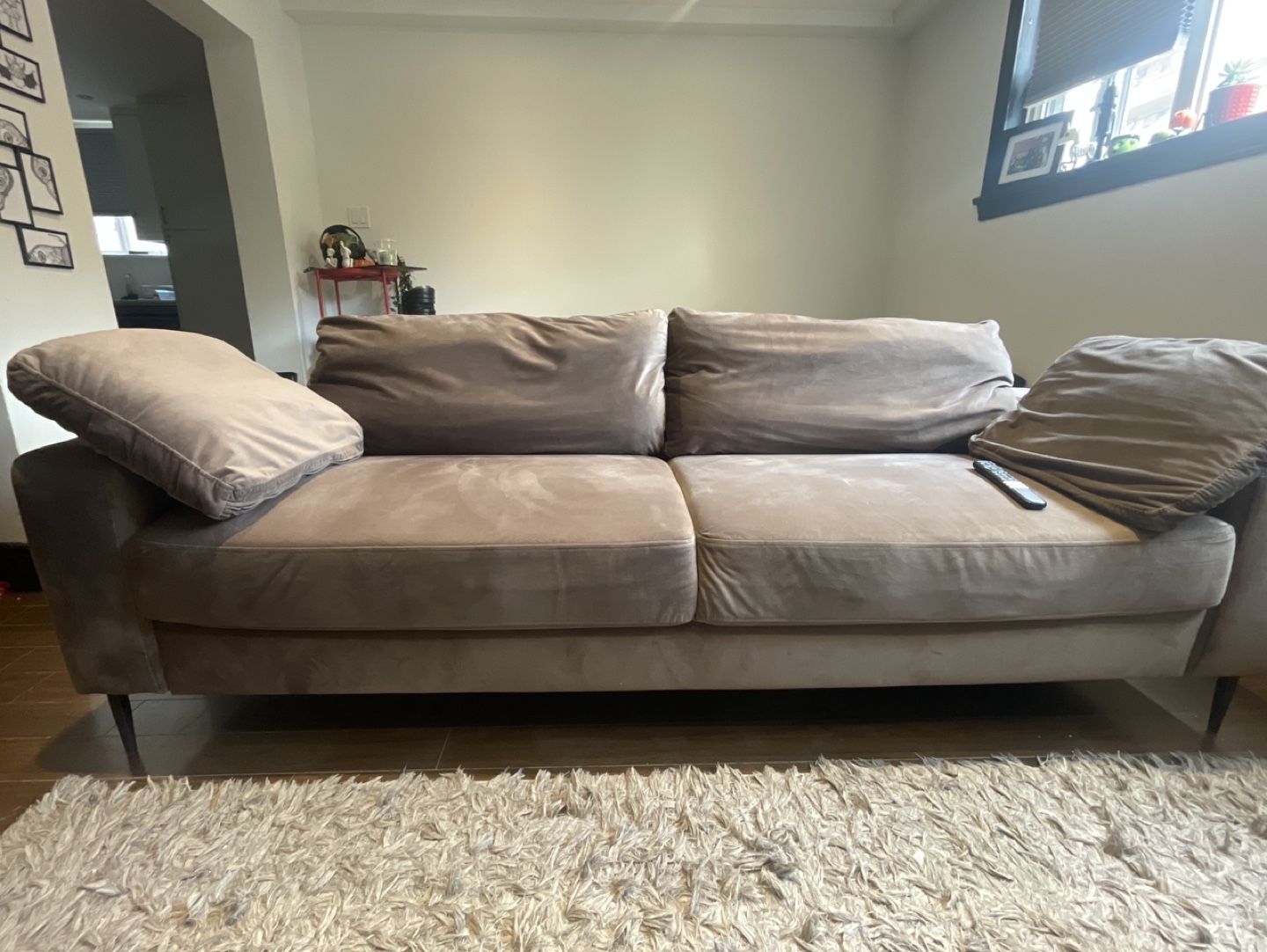 Pay whatever you can! Velvet Sofa