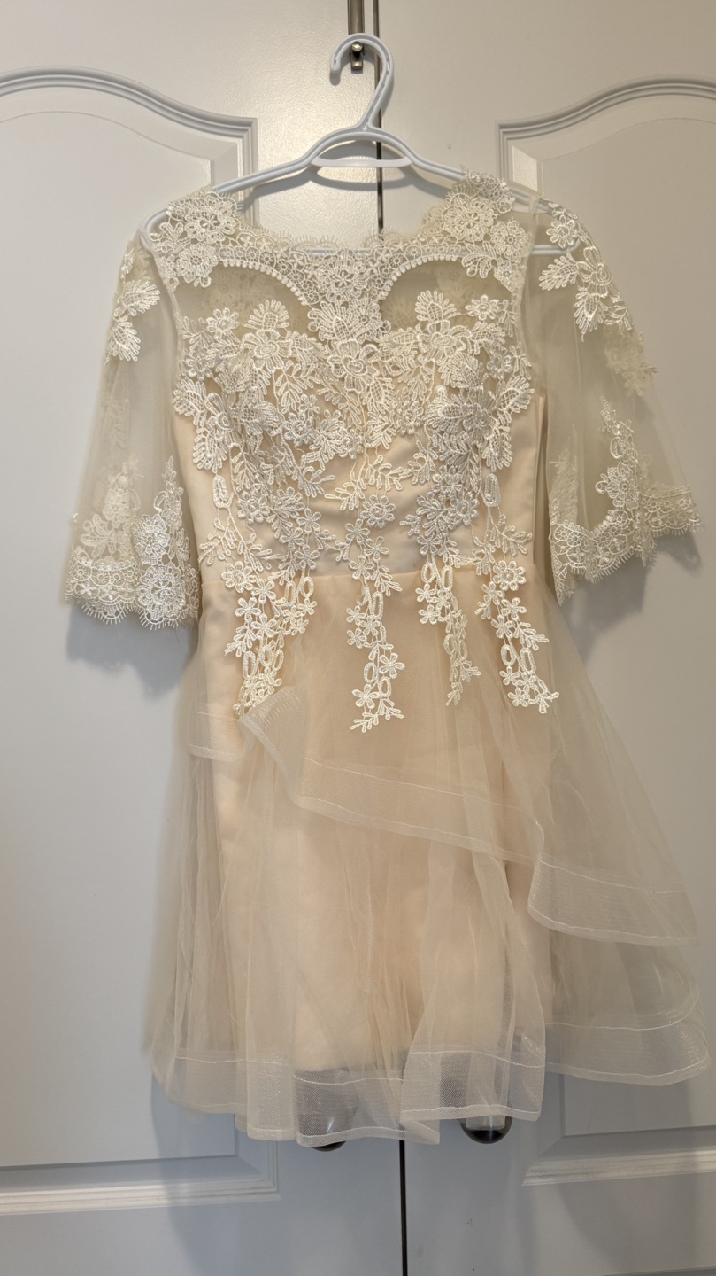 Champagne Lace Overlay Tulle Dress