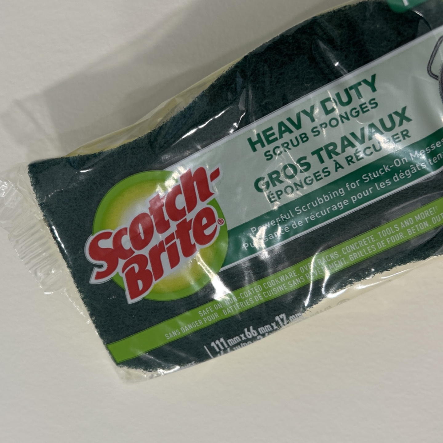 Scrub Sponge #freecycle