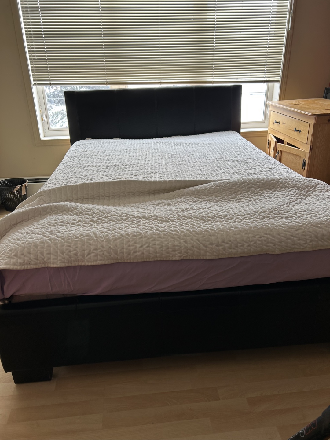 Queen Black Leather Bed Frame with Mattress
