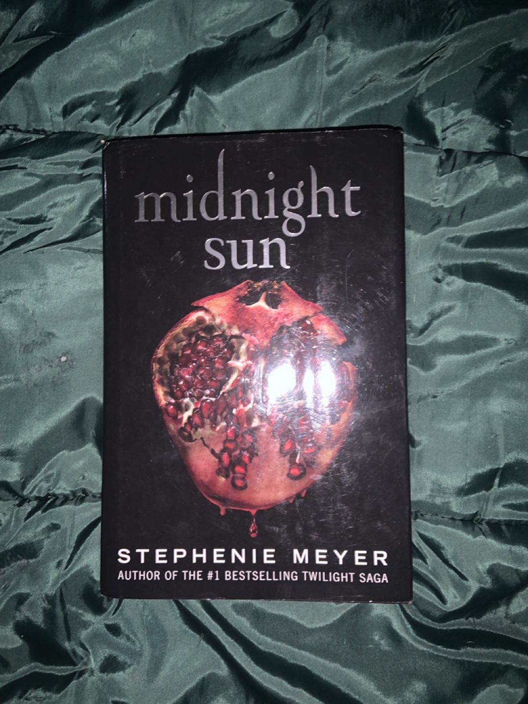 Midnight Sun by Stephenie Meyer