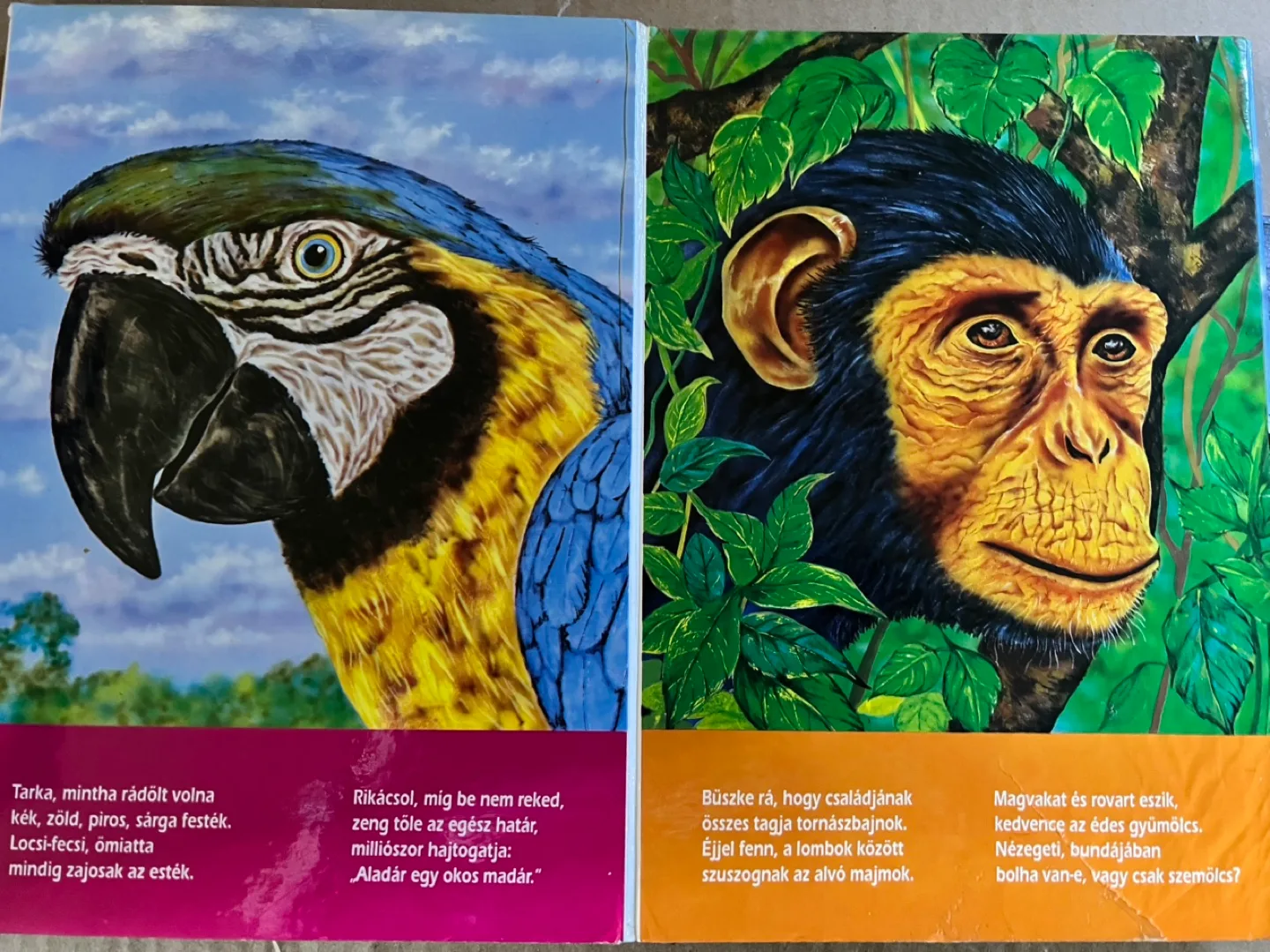 Children's Book - Animals #freecycle image indicator(2)