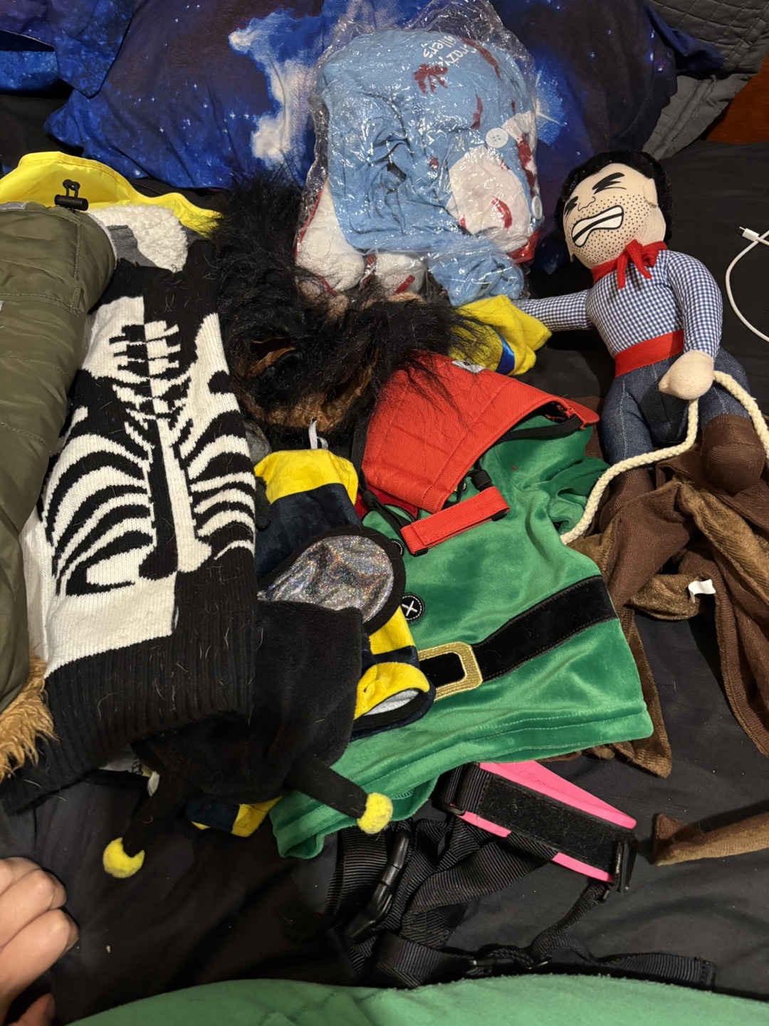 Dog Costume Bundle: Skeleton, Bee, Elf & More!
