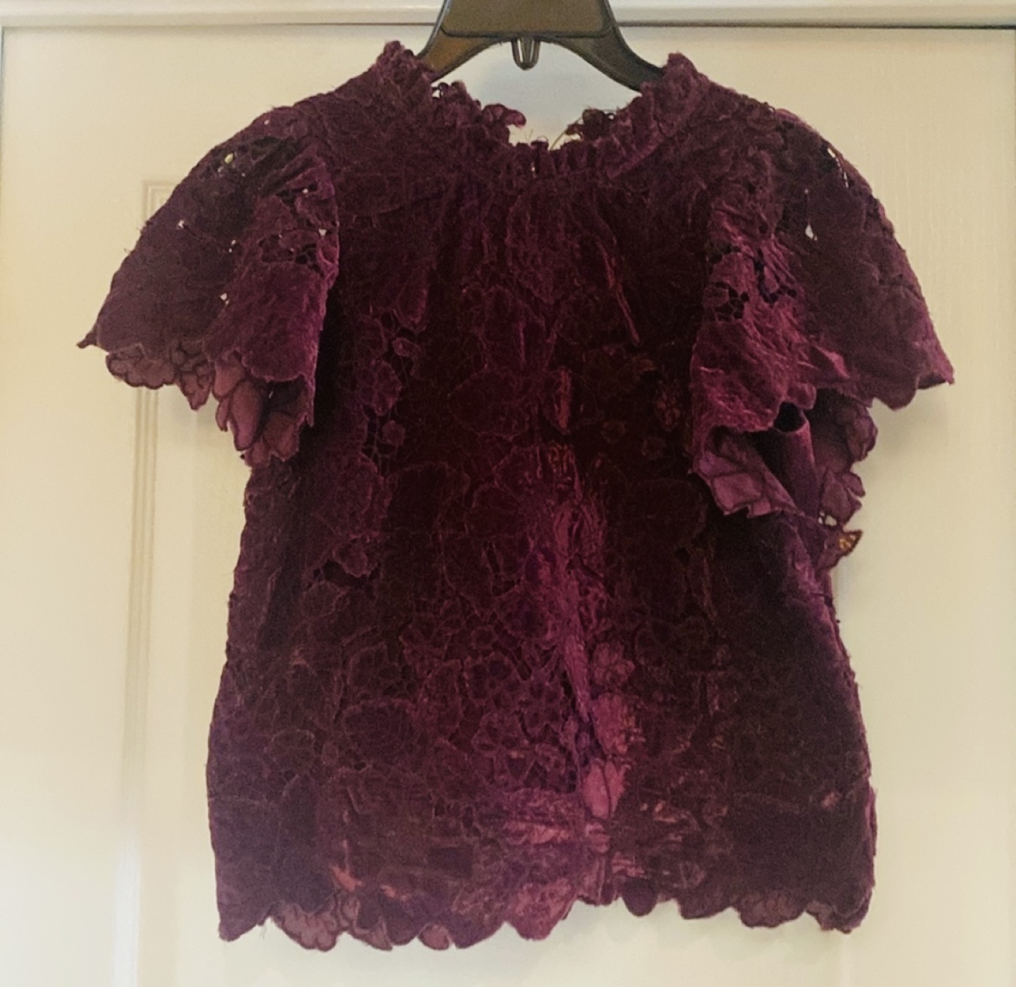 Anthropologie Velour Lace Overlay Top - Size XXS - photo 3