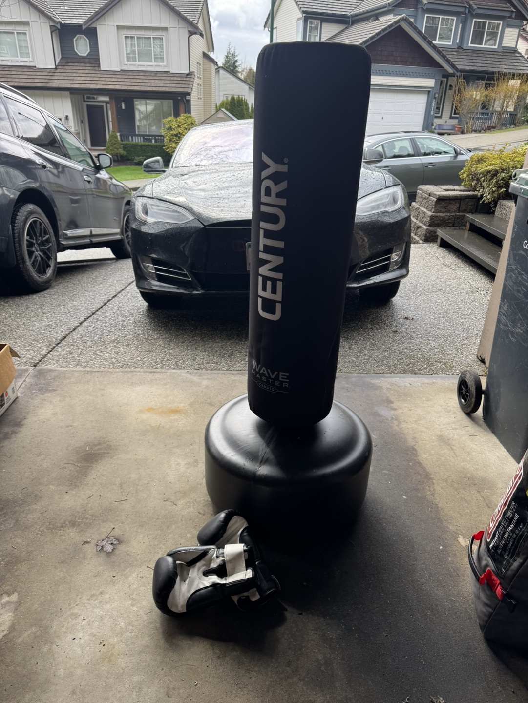 Century Wavemaster Cardio Punching Bag