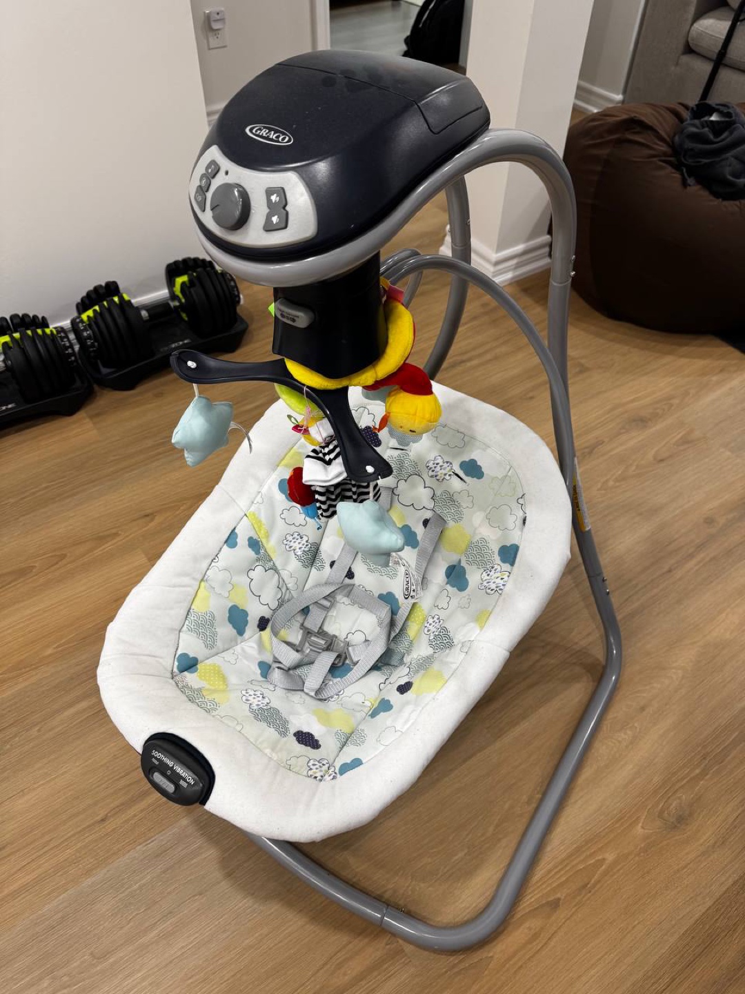 Graco Swing