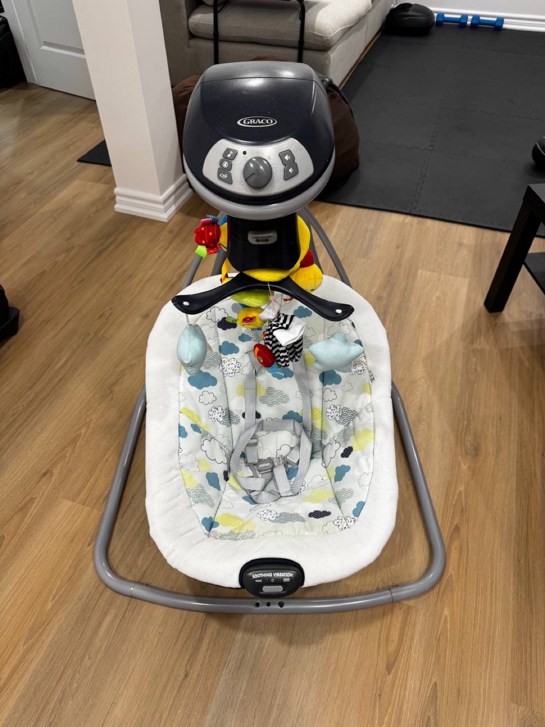 Graco Swing - photo 5