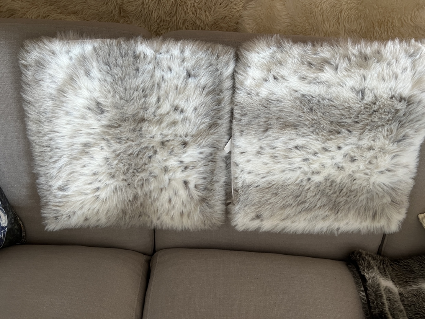 Pair of Faux Fur Throw Pillow cases