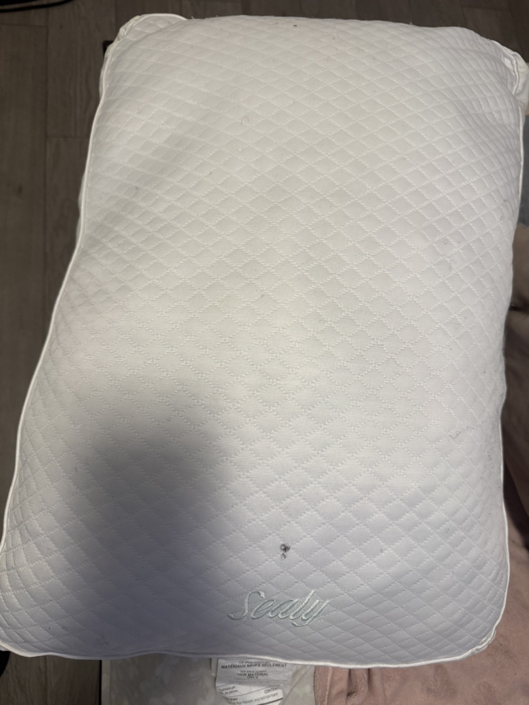 Sleep Country Sealy Pillow