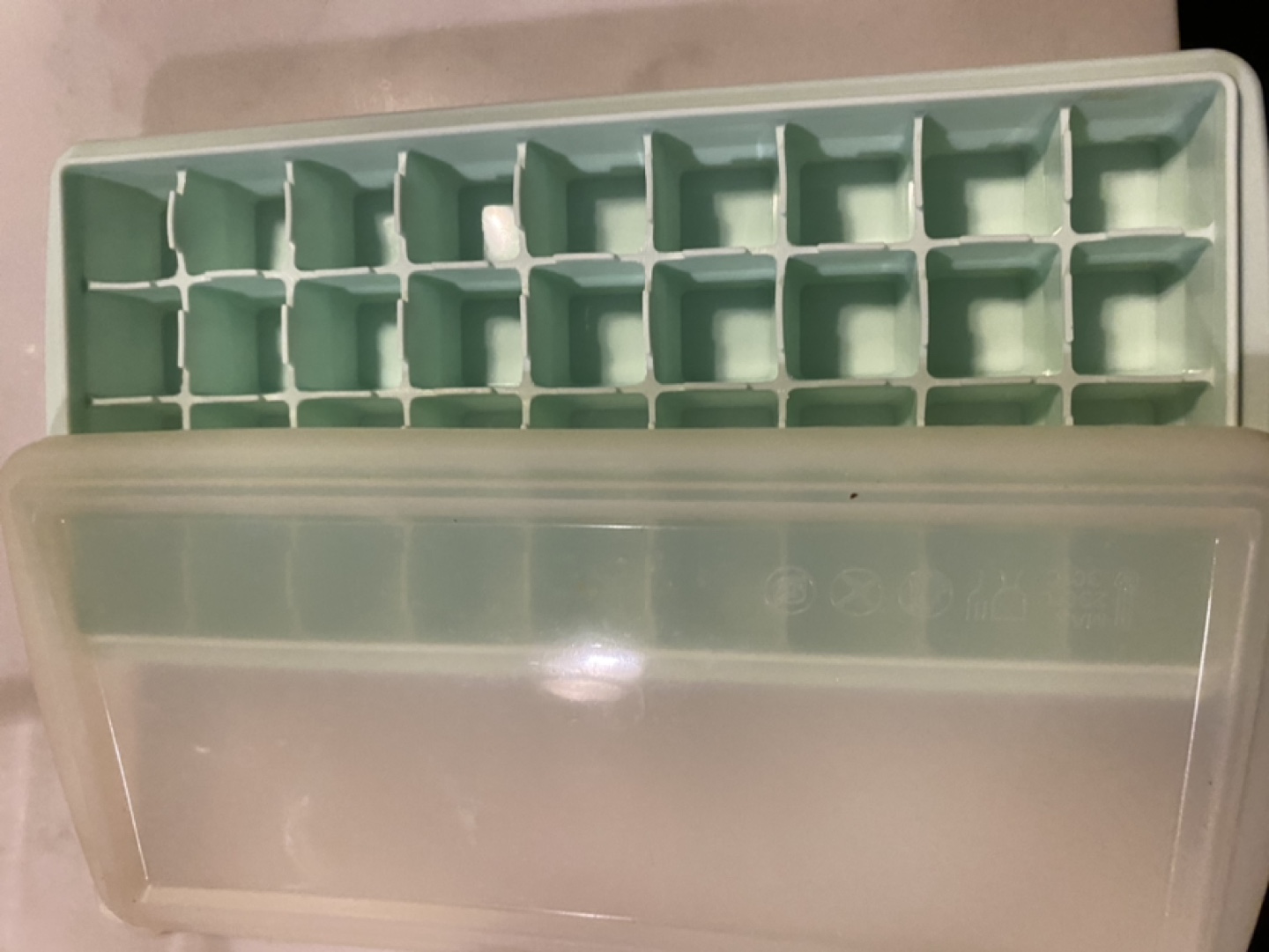 Mint Green Ice Cube Tray with Lid #freecycle