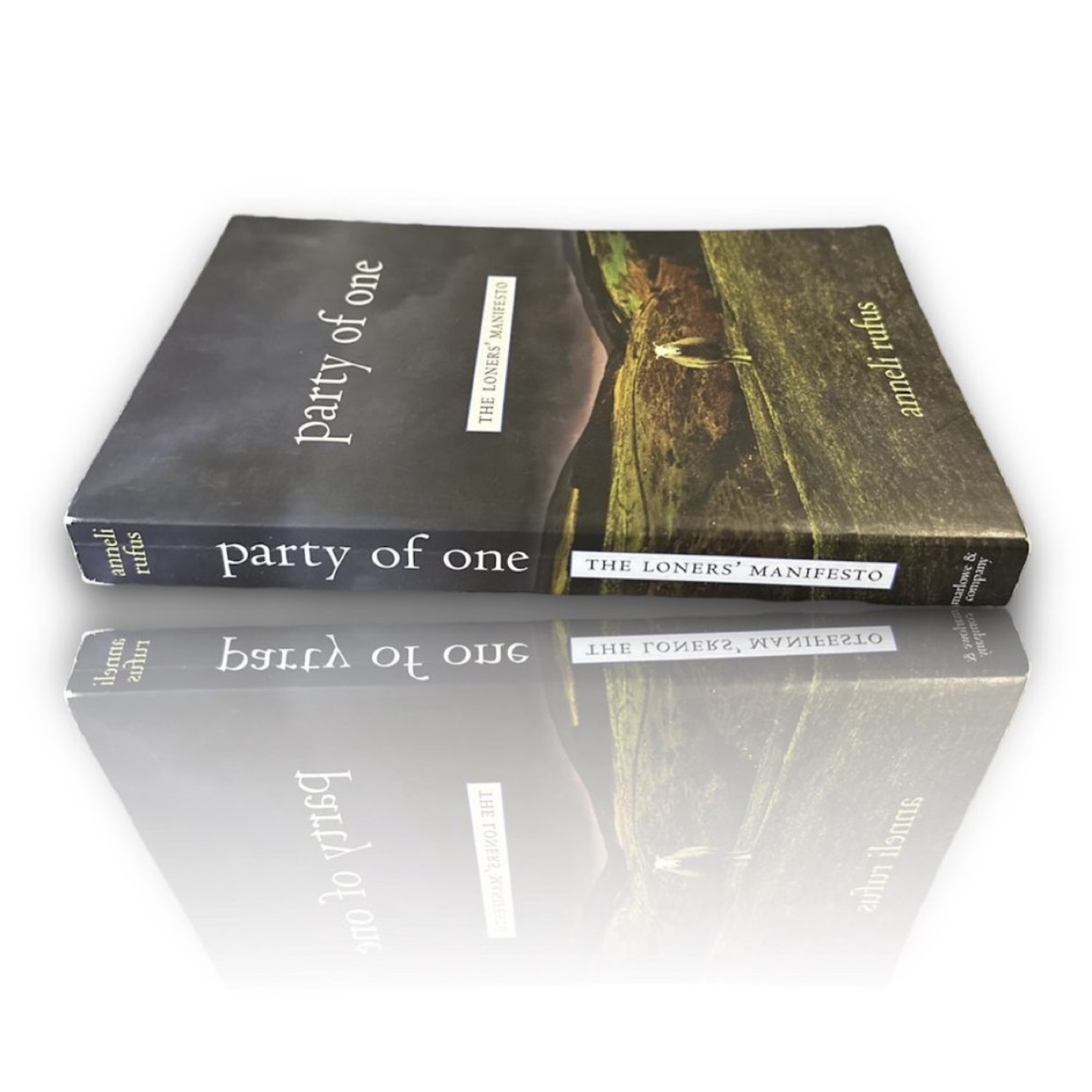 Party of One: The Loners' Manifesto by Anneli Rufus - photo 2