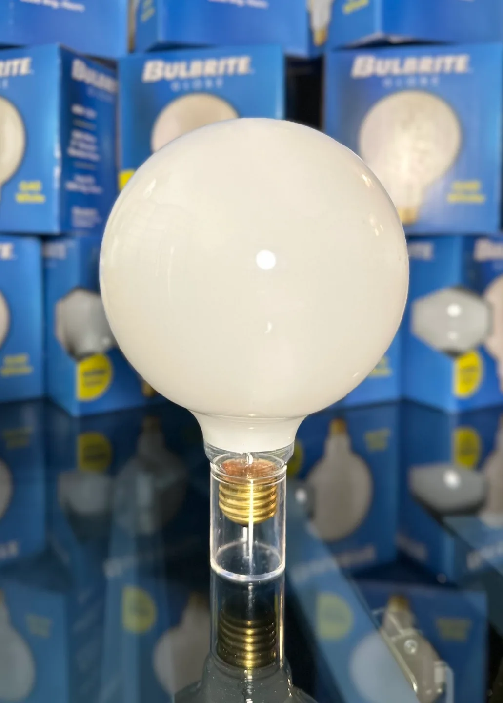 12 BULBS FOR BULBRITE 350060, 60G40WH, 60W 125V image indicator(2)