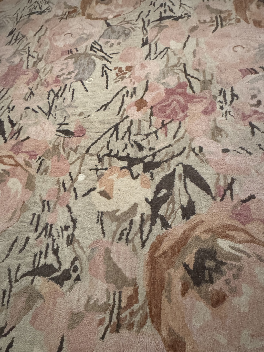 Magashoni Home 8x10 Area Rug Floral Print - photo 2