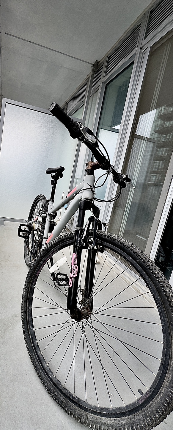 Unisex 27.5 inches Grey Mountain Bike - DIADORA NOVARA 650B