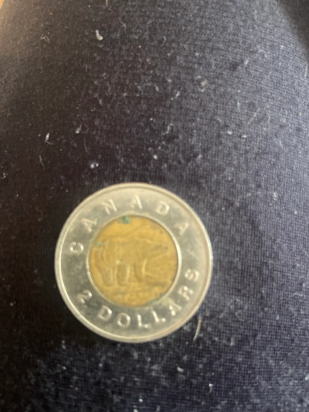 1996 Canadian Two Dollar Coin image indicator(2)