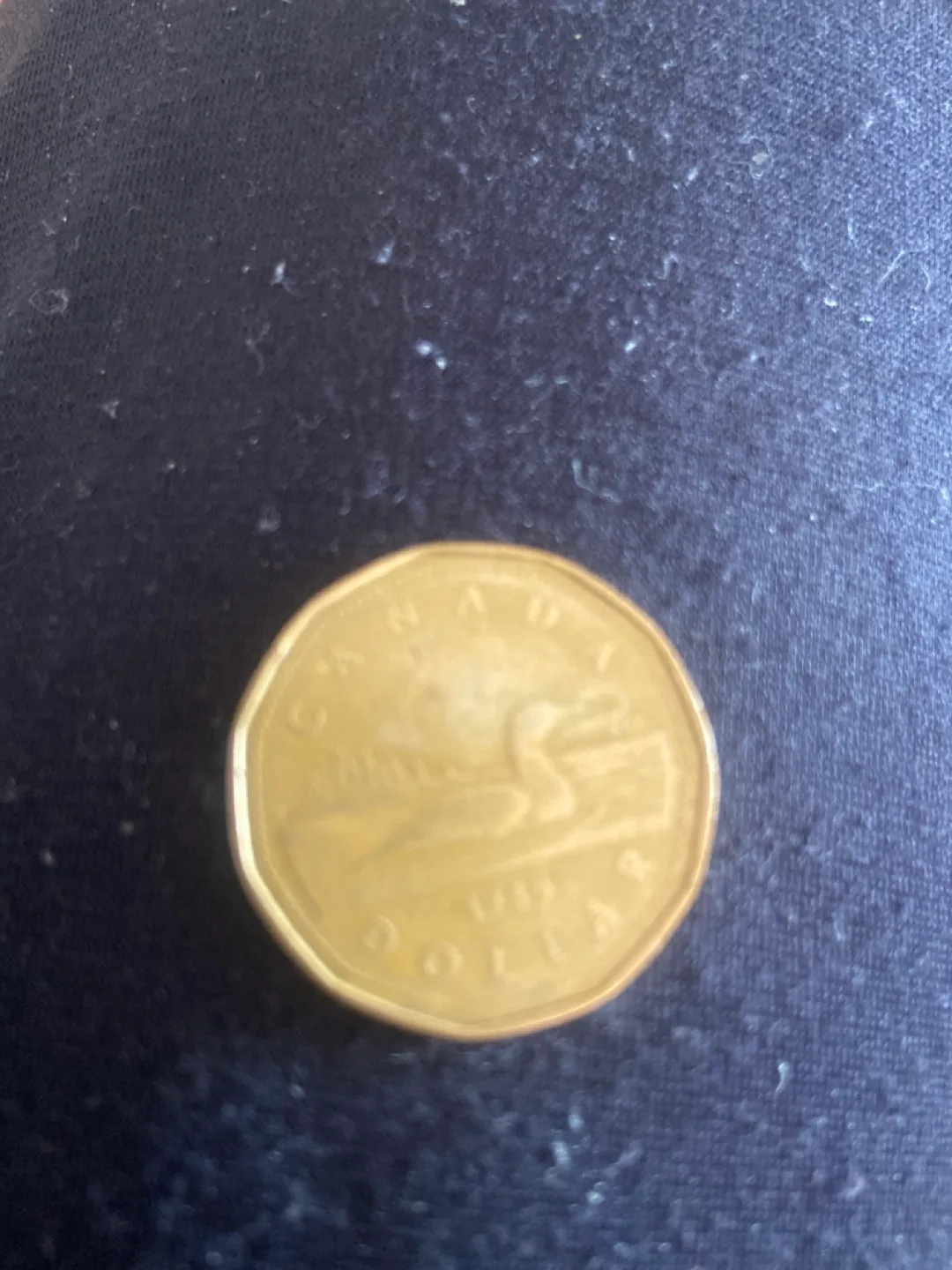 Canadian Dollar Coin image indicator(2)