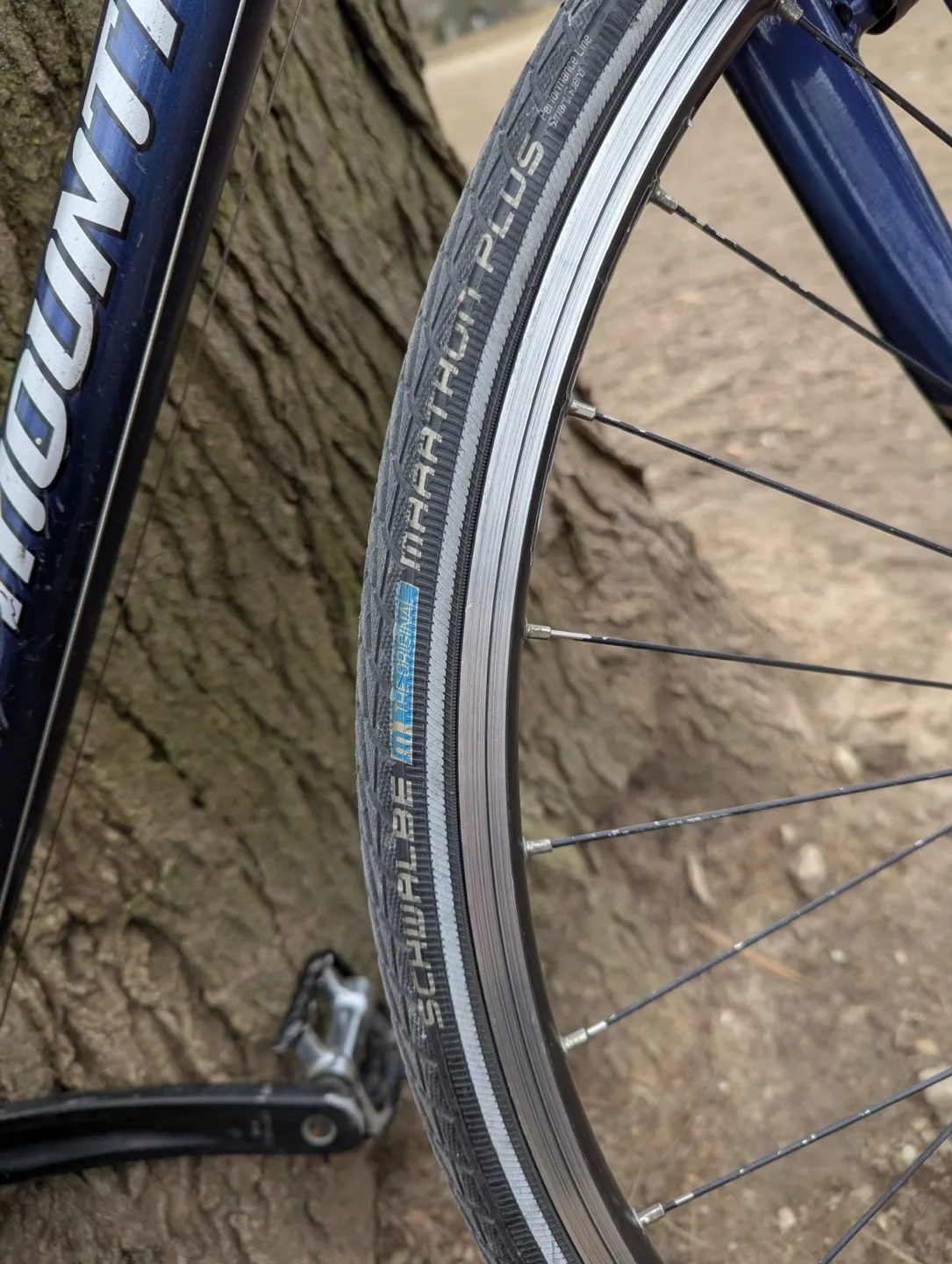 Rocky Mountain Solo 700 Hybrid Bike image indicator(6)