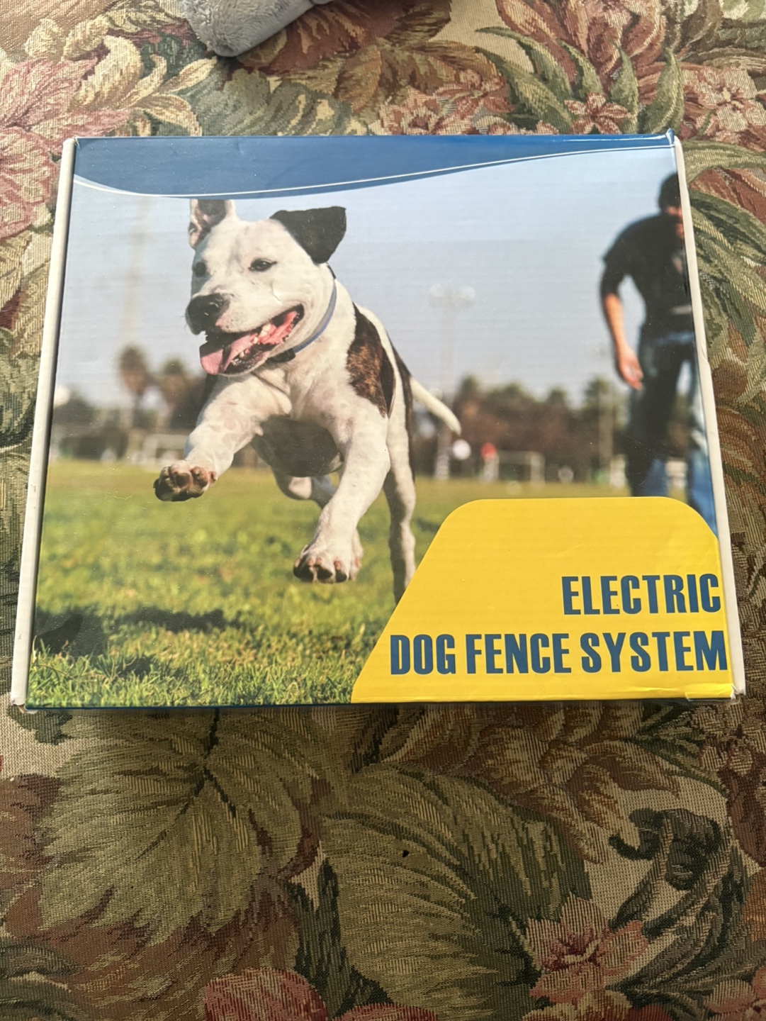 Electric Dog Fence System