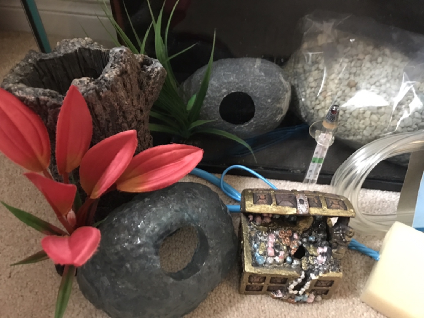 Top Fin 5-Gallon Aquarium Kit with Accessories - photo 2