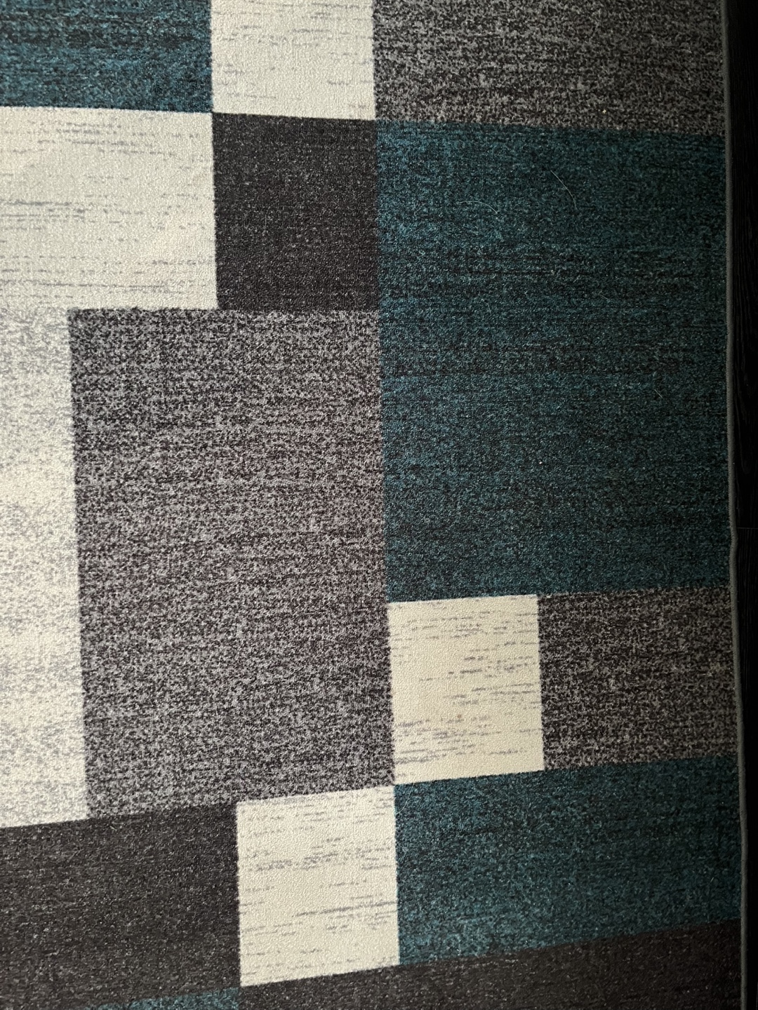 Wayfair Modern Area Rug - photo 3