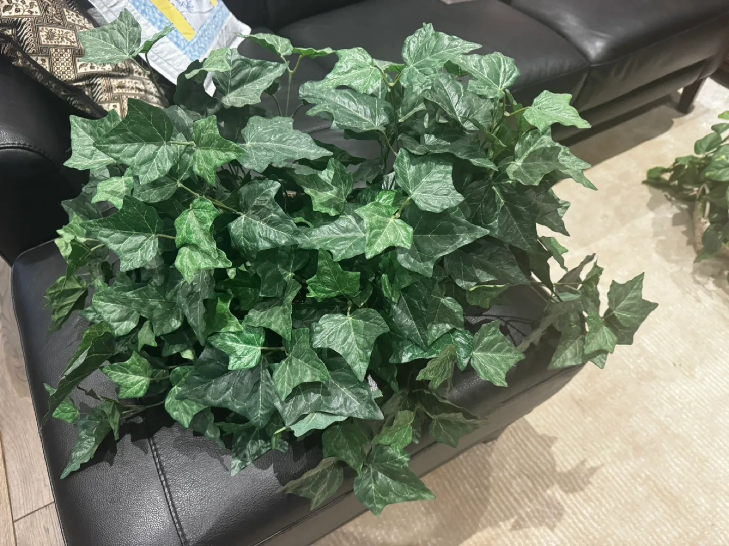 3 faux (artificial) ivy plants image indicator(4)