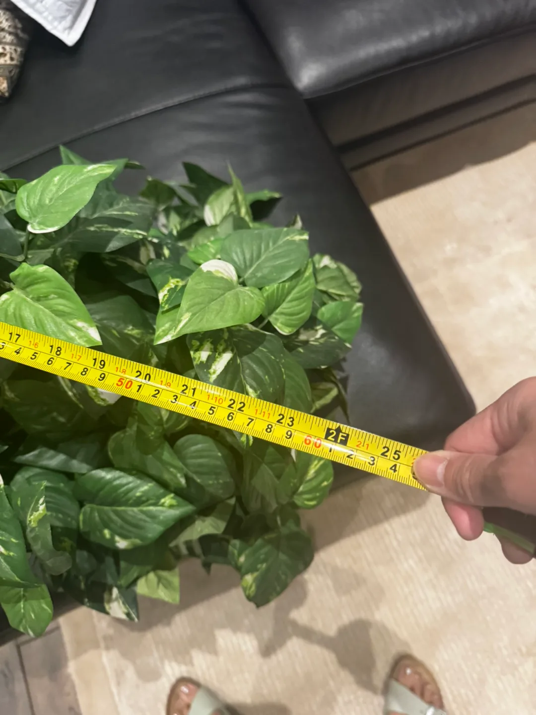 3 faux (artificial) ivy plants image indicator(3)