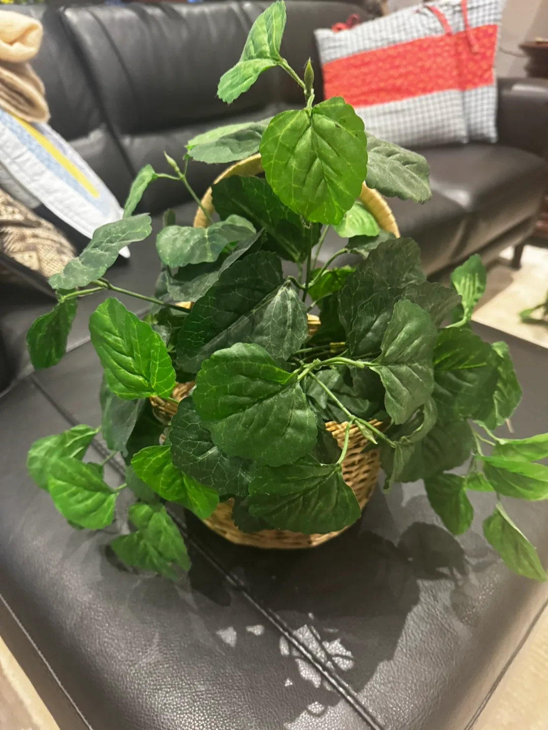 3 faux (artificial) ivy plants image indicator(6)