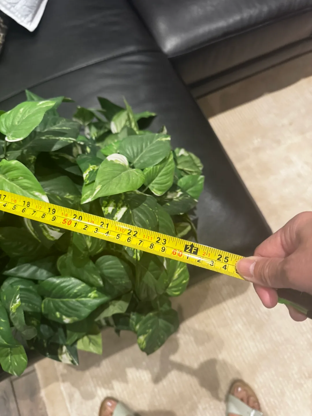 3 faux (artificial) ivy plants image indicator(2)